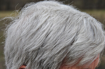 gray hair on the head of an elderly woman close-up. aging concept