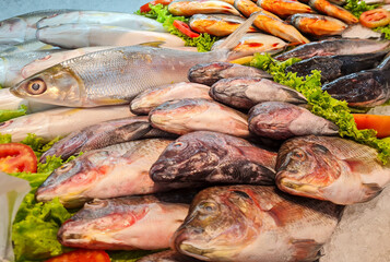 Group of fresh fish at supermarket ready to buy, fish market display. sort of Milkfish, Tilapia,...