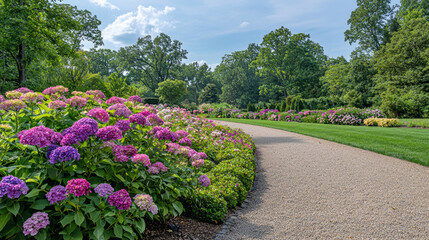 Fototapeta premium A row of hydrangeas in various shades of pink and purple, neatly arranged along the edge of an elegant garden path