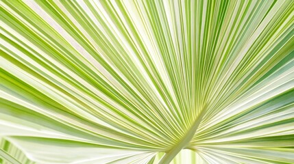 Fototapeta premium Vibrant green leaf texture in close-up, showcasing nature's organic beauty and intricate details. 