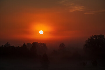 Golden sunlight emerges over a foggy horizon, painting a serene dawn landscape with warmth