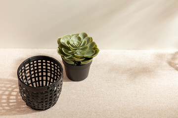 Group of Container isolated on studio background. Minimalist. Product design. Simplicity. Object. Modern. Home decoration. Houseplant. Plant pot. Space for text.Light and Shadow. Simple black vase.