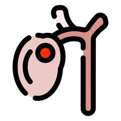 gall bladder icon
