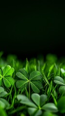 Background of shamrocks, relaxing, peaceful scene, lush green field, gentle breeze, clover blossoms