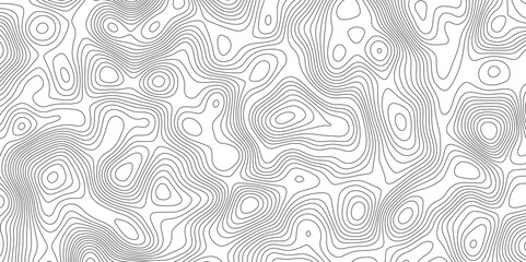 Abstract Topographic Map in Contour Line Light Topographic White seamless texture. Topography map pattern, Geographic curved, vector illustration.