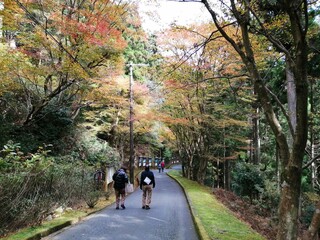 "Enryakuji" written in Japanese. Enryakuji Temple on Mount Hiei, located in Kyoto and Shiga prefectures, Japan.