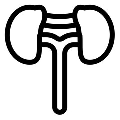 kidneys icon