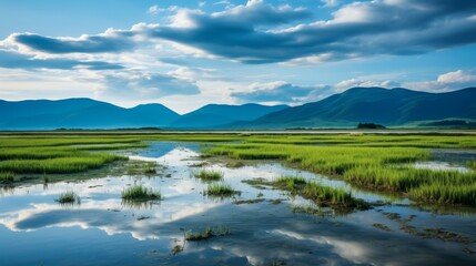 Fototapeta premium Tranquil lake surrounded by marsh plants under a gray cloudy sky reflected in the water