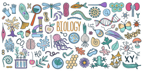 Hand drawn biology doodle set. Science concept vector illustration.