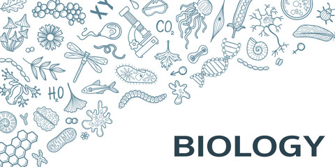 Hand drawn biology line art banner concept. Minimal flat ink doodle vector infographic template