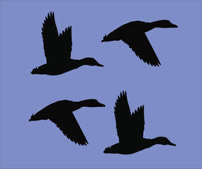Adobe Illustrator Artwork of duck