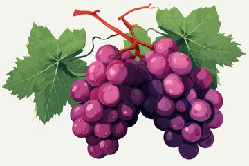 Fototapeta premium A fresh bunch of grapes isolated on a white background for a clean and simple look