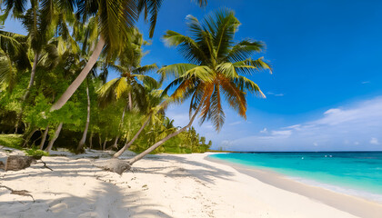 Obraz premium Beautiful tropical beach banner. White sand and coco palms travel tourism wide panorama background concept. Amazing beach landscape