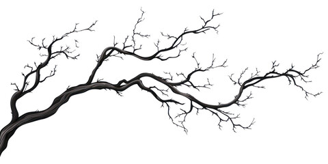 Fototapeta premium PNG Tree branch drawing sketch plant.