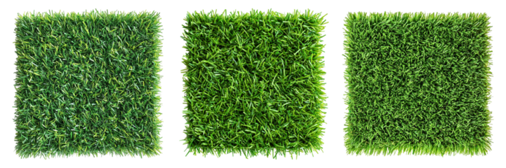Collection of Natural Grass Textures – High-Resolution, Seamless Turf Patterns perfect for design isolated on white background, cut out, png