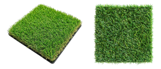Collection of Natural Grass Textures – High-Resolution, Seamless Turf Patterns perfect for design isolated on white background, cut out, png