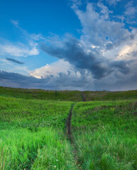 Path winds through a grassy field with a cloudy sky overhead