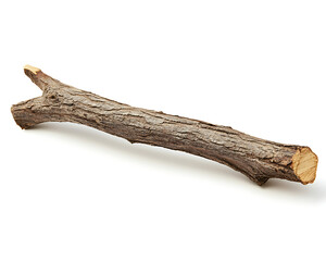 Fototapeta premium Single brown tree branch with rough bark lies on a plain white surface.