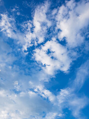 The sky is blue and clear with no clouds