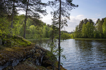 A serene lake surrounded by trees and a rocky shore