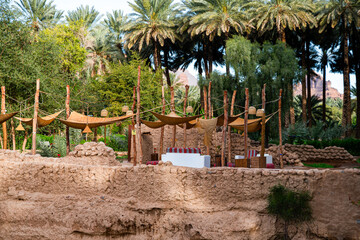 A beautiful View of a Oasis from Al Ula, Saudi Arabia