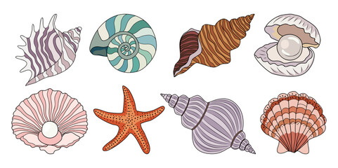 Sea shells, starfishes set. Underwater mollusk animals. Marine molluscs seashells, scallops, snails, cockleshells, mussels and conches. Vector illustration of shellfishes on transparent background