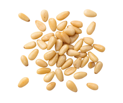 High-quality pine nuts dry fruits, isolated on a white transparent background. Fresh, organic, and nutritious pine seeds with a natural texture, perfect for culinary use, packaging, or advertising