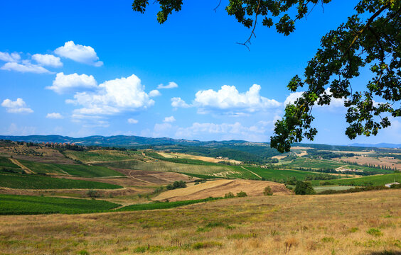 Vineyards and olive groves cover rolling hills, with scenic roads passing charming farmhouses, castles, and ancient cypress-lined paths.