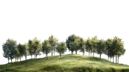 Obraz premium Cutout rock surrounded by fir trees. Garden design isolated on white background. Decorative shrub for landscaping. High quality clipping mask for professional composition. Hill grass in the forest.