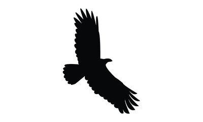 Flying African harrier hawk bird Silhouette Design  And Vector Illustration. 