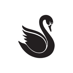 black swan vector, black swan on white
