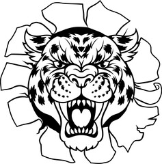 Fototapeta premium A jaguar, panther, leopard or cheetah wildcat spotted cat sports team mascot