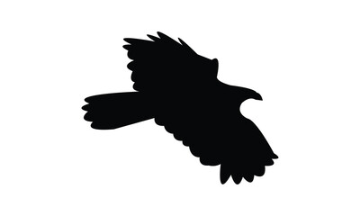 Flying African harrier hawk bird Silhouette Design  And Vector Illustration. 