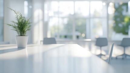 Modern office table with plant, sunny day, blurred background, interior design, for advertising