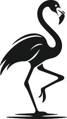 vector illustration of a flamingo