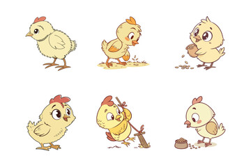 Cute chicks vector collection, cute chicks playing, cute chicks eating isolated on white background. icon set