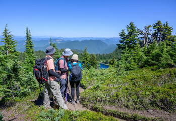 Three tourists checking on the map to get directions at Summit Lake trail. Mt Rainier National Park. Washington State. USA.