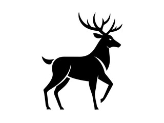 A solid black image with no discernible content.