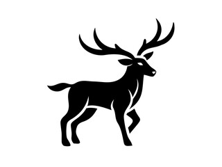 A solid black image with no discernible content.