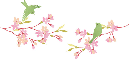 桜の枝に止まる小鳥のイラスト