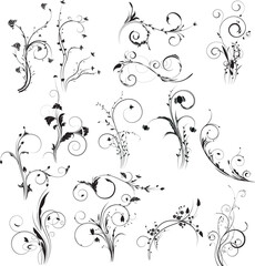 Calligraphic swirl flourish ornament. Modern swirling flourishes, wreath, romantic card decorative swirl and wedding card decor curls swirles dividers set. filigree ornaments baroque. floral ornament.