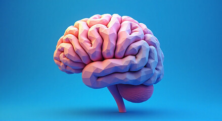 3d rendered illustration of a brain, brain, human, anatomy, mind, medical, intelligence, 3d, organ, science, head, neurology, cerebellum, illustration, isolated, cerebral, intellect, think, health, ps