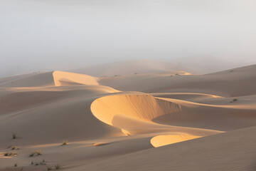 Sand dunes of Liwa desert in fog during sunrise hours.