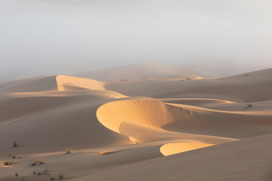 Sand dunes of Liwa desert in fog during sunrise hours.