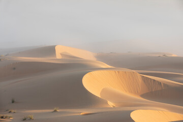 Sand dunes of Liwa desert in fog during sunrise hours.