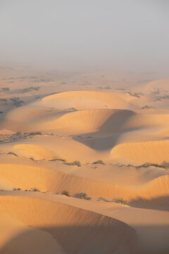 Sand dunes of Liwa desert in fog during sunrise hours.