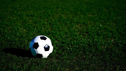 Obraz premium close-up view of a classic black and white soccer ball on a lush green grass field