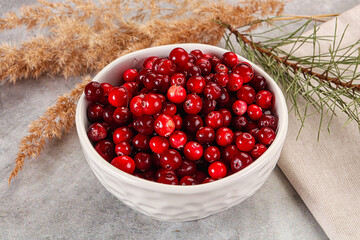 Ripe sweet sour cranberry heap