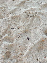 stone texture , sand beach, Kradan island beach