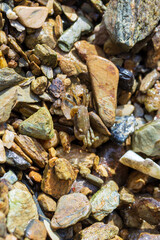 Camouflaged Crab Among Wet Coastal Pebbles